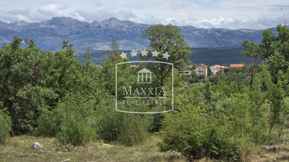 Land, 4019 m2, For Sale, Novigrad - Pridraga